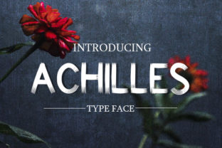 Achilles Font: Modern Typography for Publishing