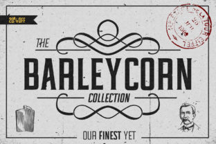 Barleycorn: A Retro Serif Font Built for Brand Stories