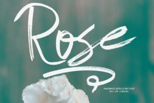 Rose Font: A Delicate Script for Digital Brand Builders
